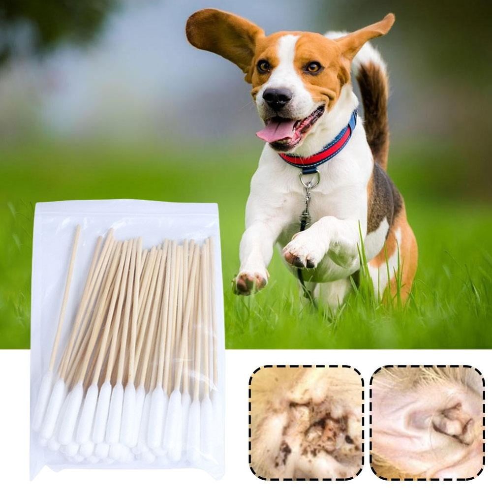 Long Cotton Swabs for Pet Ear Cleaning, Makeup Application, 100 Count image 2