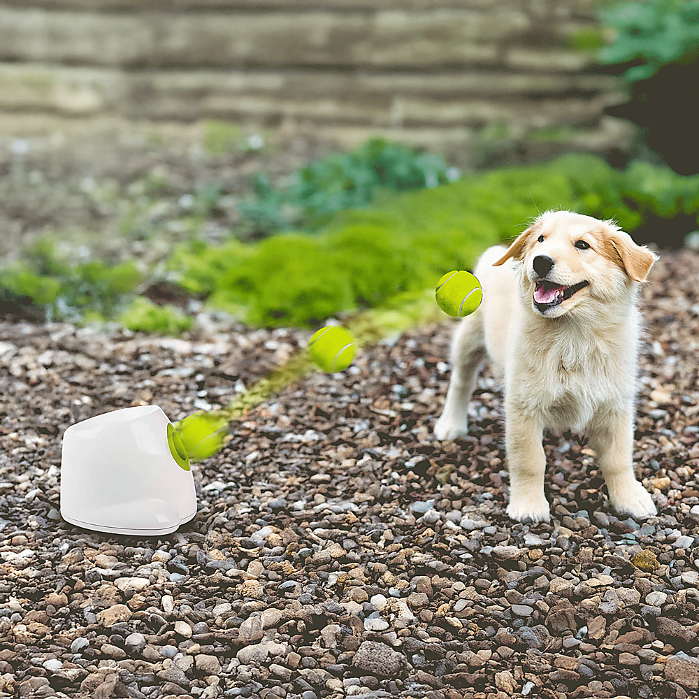 Dog Ball Launcher Thrower Automatic Tennis Fetch Throwing Machine 3 Balls image 6