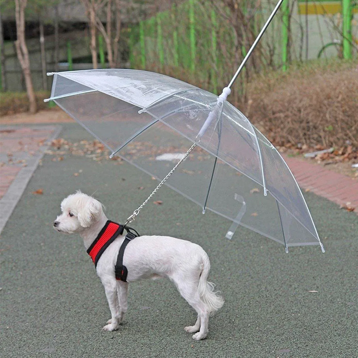 Pet Dog Transparent Umbrella 30 inch Diameter With Dog Leash For Rain Walking Outdoor image 5