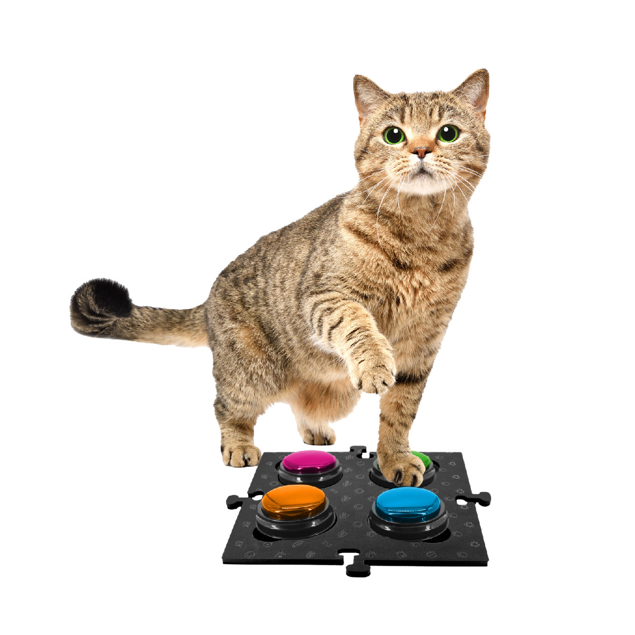 Tech4Pets Black Mat 2-Pack for Talking Buttons & Floor image 2