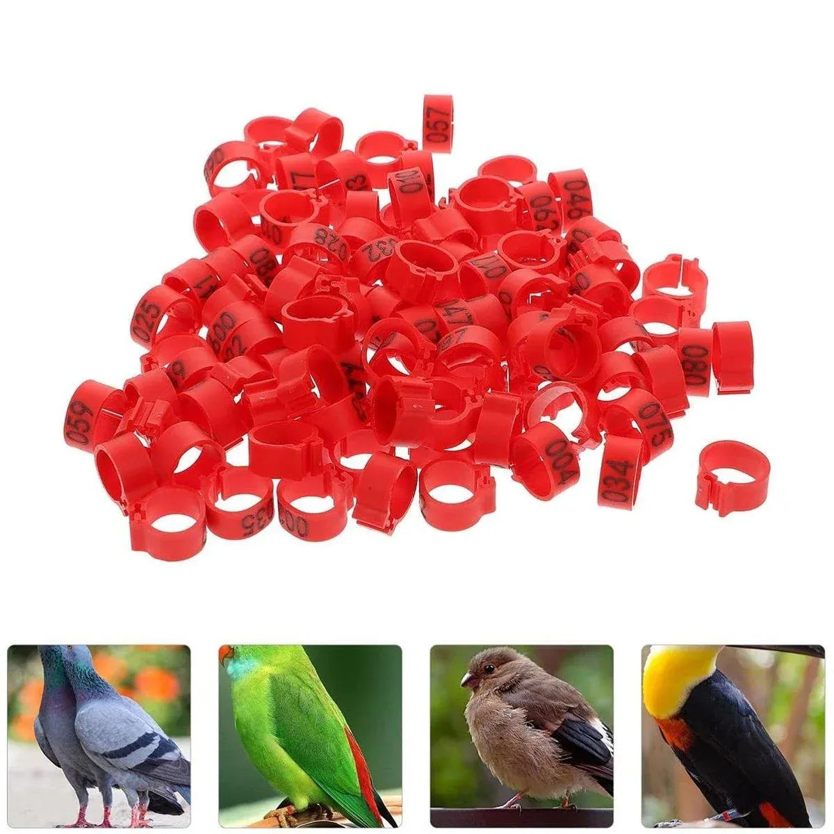 100X 001-100 Digital Numbered Bird Leg Band Rings Clip For Pigeon Parrot Poultry - Black image 15