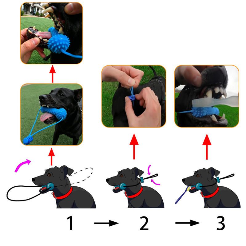 Dog Dental Chew Toy and Finger Brush Set - 8cm Blue Hands Free Chew Toy with 3… image 4
