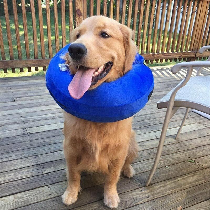 Grey Pet Dog Inflatable Soft Healing Collar Cone Wound Medical Cat Protective Jackets… image 6