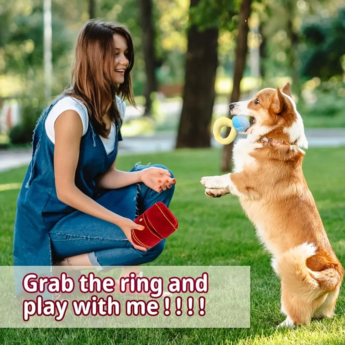 Plush Pet Toy Interactive Ring Box Chew Toy for Dogs and Cats Soft Squeaky Play image 4