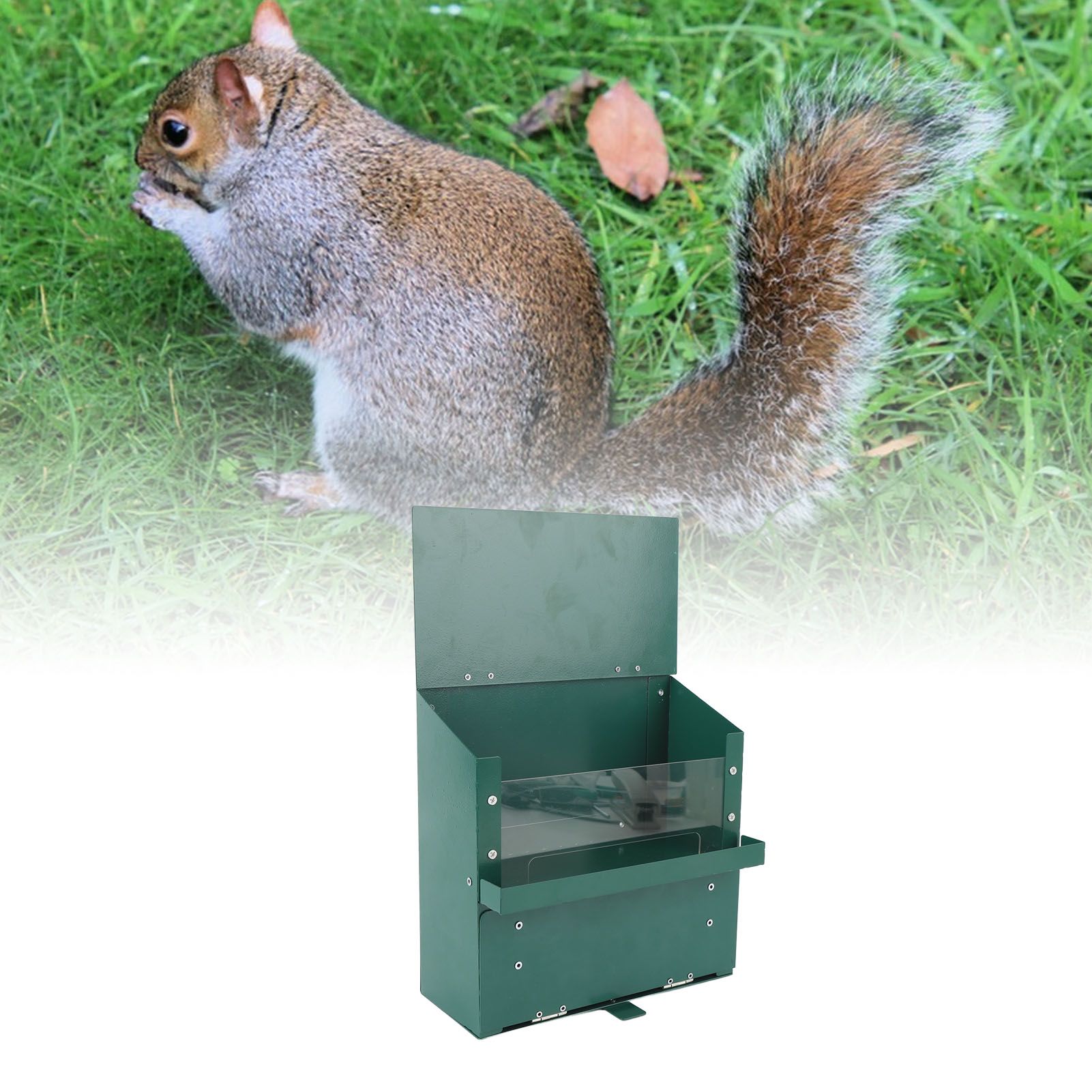 Metal Squirrel Feeder with Transparent Acrylic Plate Pet Picnic Table Assembled… image 11