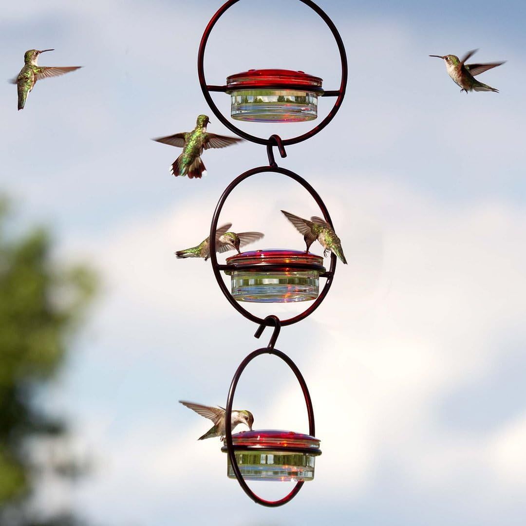 Hummingbird Feeder image 4