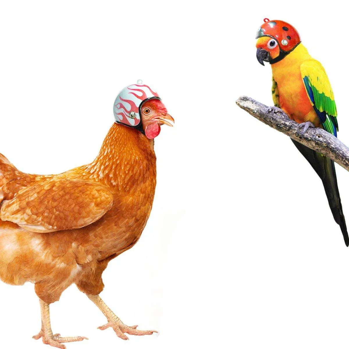2PCS Mini Pet Chicken Helmet Protective Headgear Set Waterproof Cartoon Design… image 10