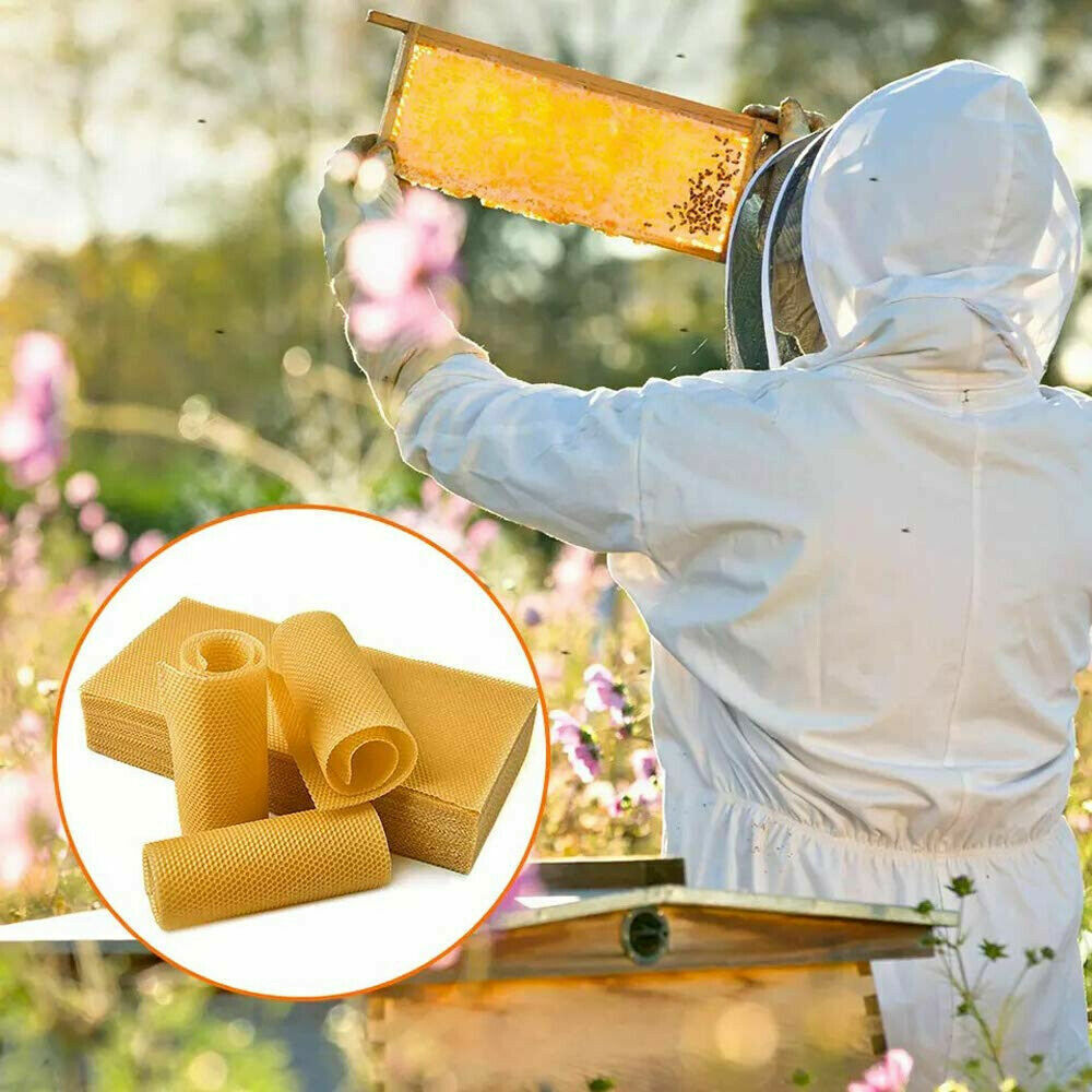 30Pcs Bee Hive Wax Honeycomb Bee Hives Beekeeping Equipment Frames Foundation image 9