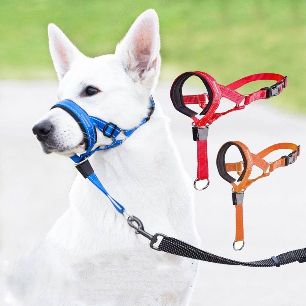No Pull Dog Head Collar - Soft Padded Head Halter with Safety Link & Adjustable Muzzle… image 5