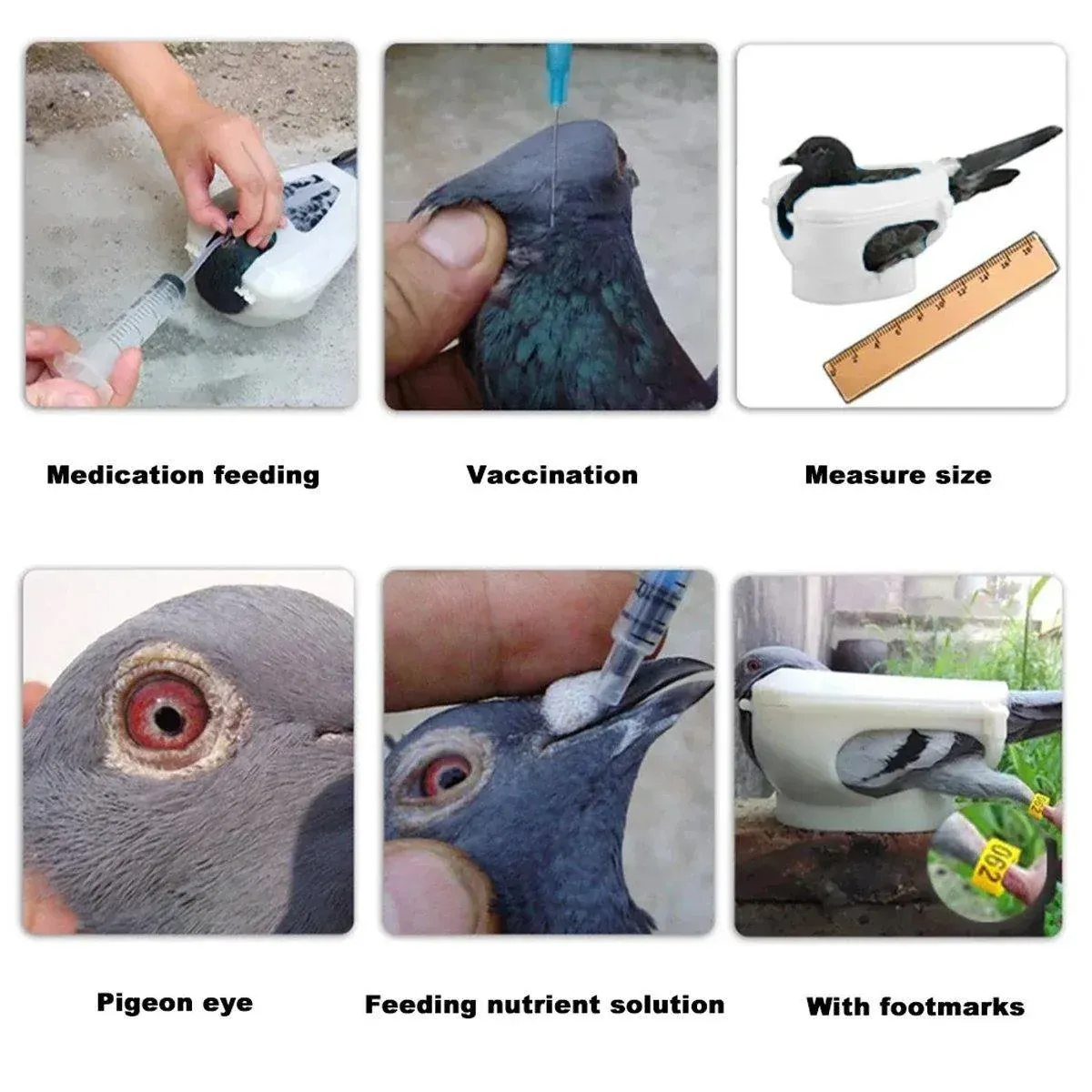 2X Practical Plastic Racing Pigeon Holder Fixed Frame Rack Bird Medicine Feeder image 8