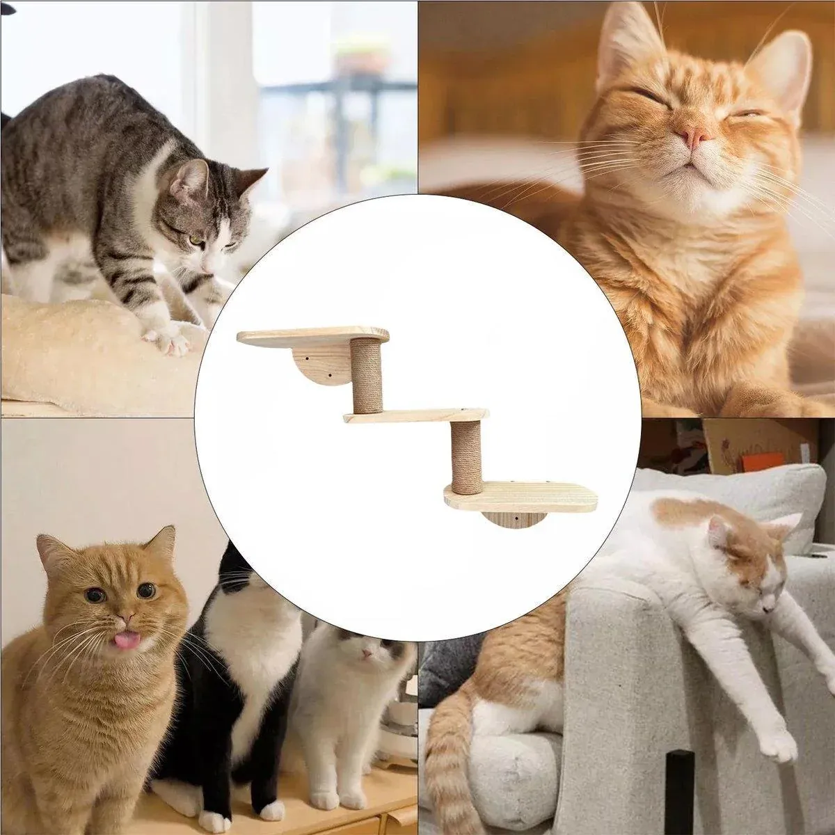 Solid Wood Wall Mounted Cat Climbing Tree Rack Platform Space Capsule Bed Shelf image 4