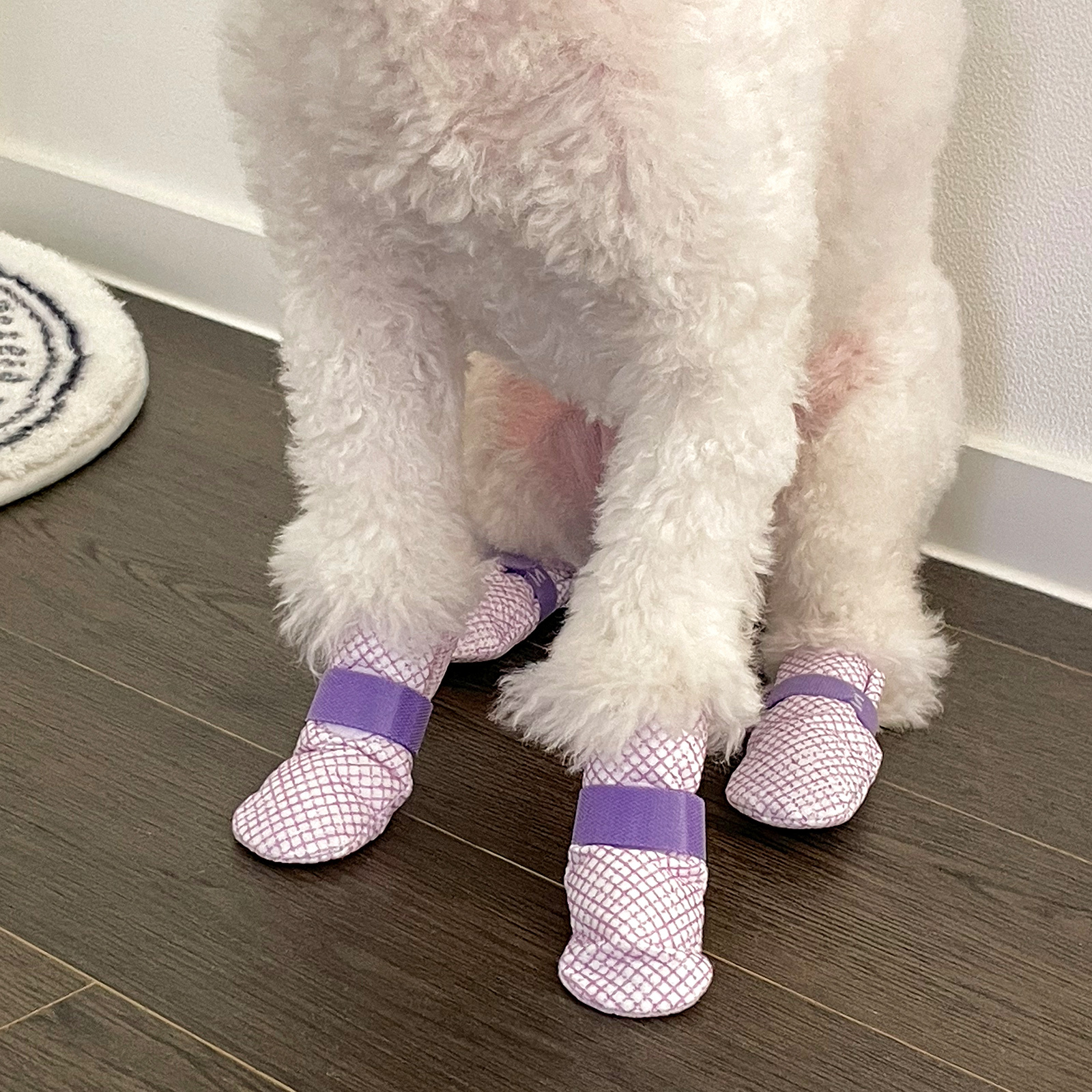 28pc X Dog Shoes Waterproof Disposable Boots Anti-Slip Pet Socks M VIOLET image 10