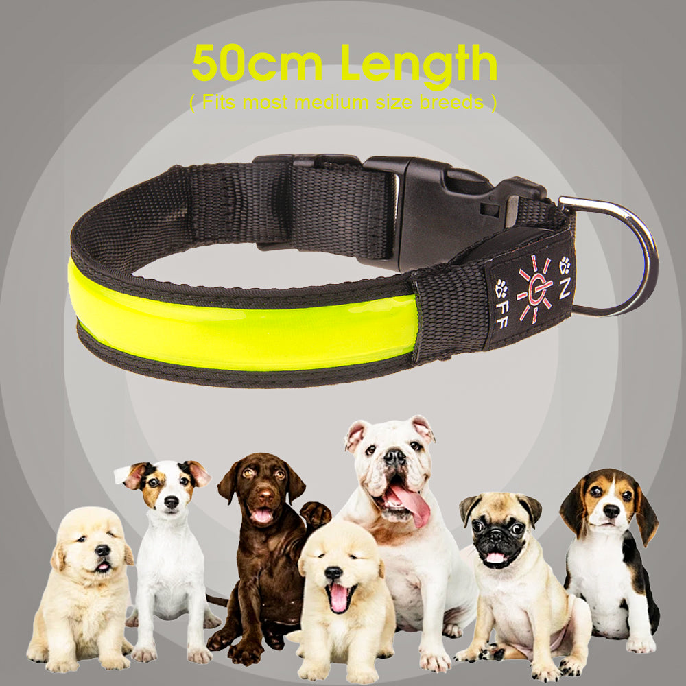 50cm Rechargeable Light-up LED Pet Collar image 5