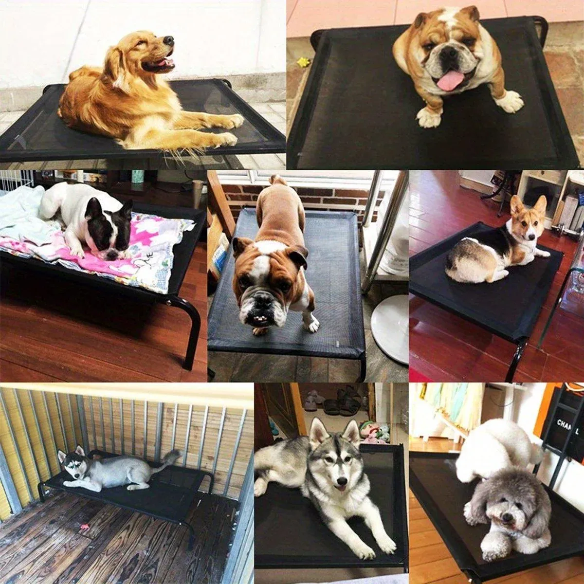 Heavy Duty Pet Raised Bed Elevated Trampoline Hammock Cat Dog Raised Deluxe… image 10