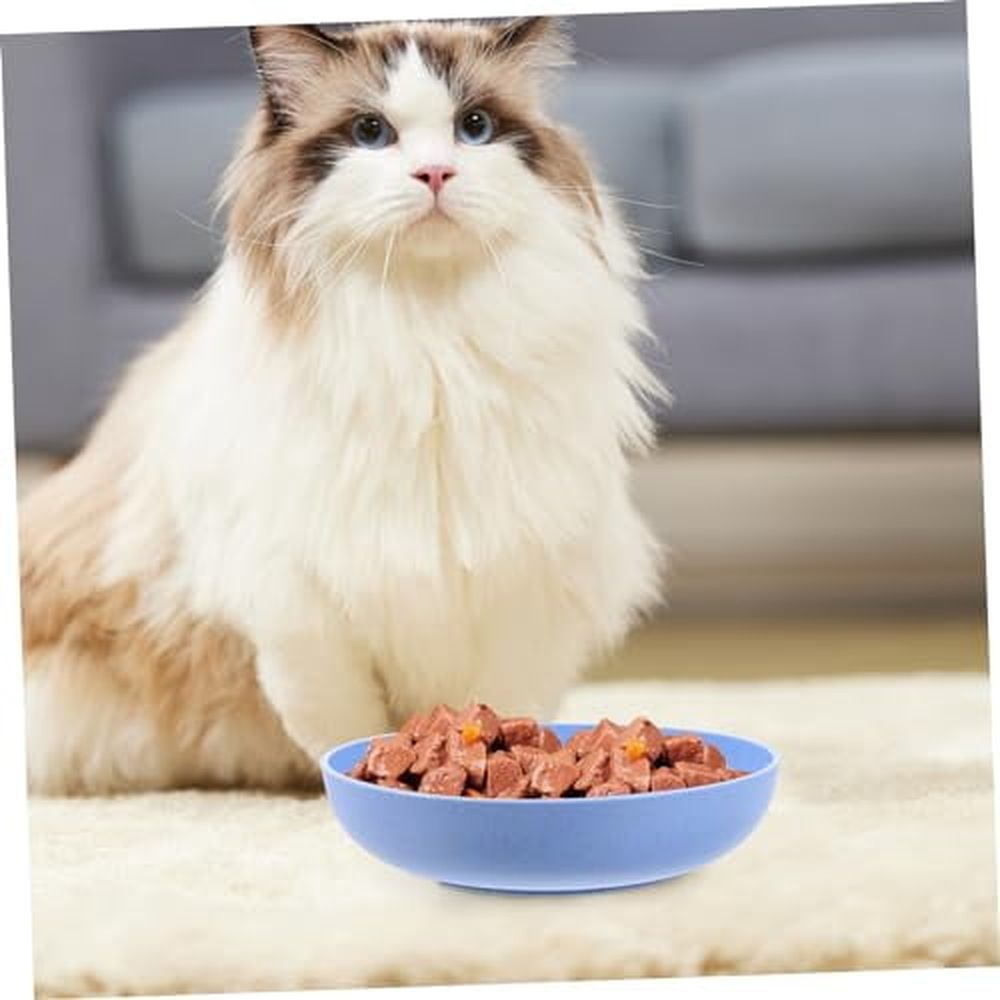 6pcs Cat Feeding Plates Ergonomic Cat Food Dish for Small Kittens Legged Non- Base for… image 5