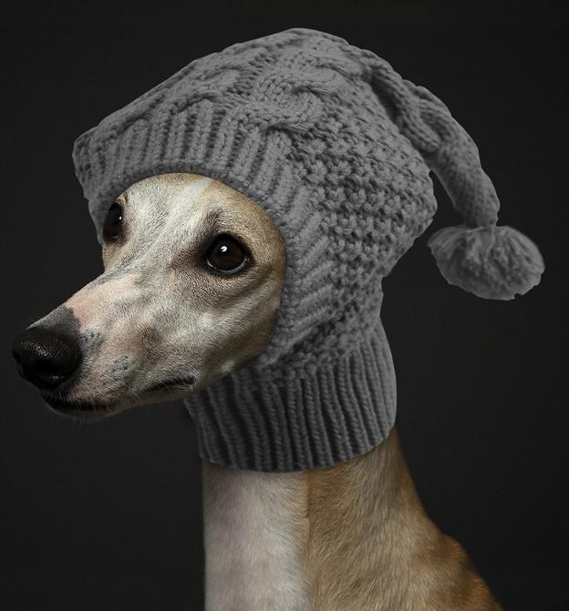 Size L Grey Whimsical Knit Dog Hat with Pom-Pom - Cozy Winter Pet Beanie & Snood image 2