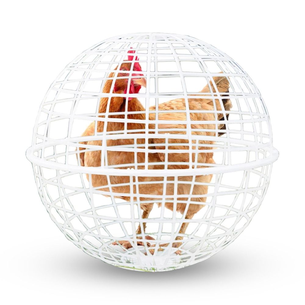 Spherical Chicken Cage Portable Rolling Coop for Range Hens image 4