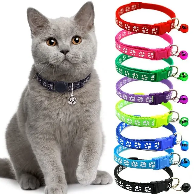Kitten Collar with Bell