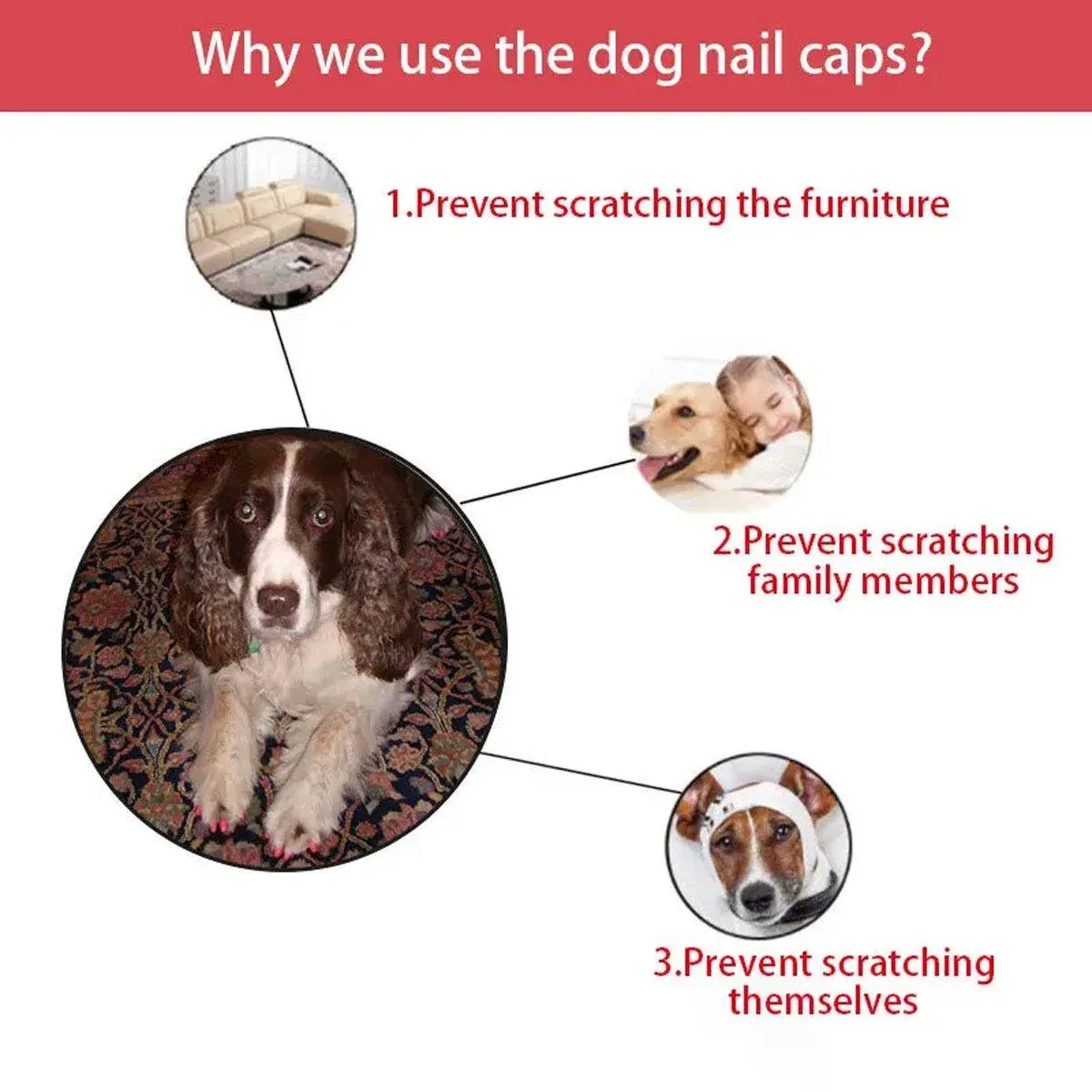 100PCS Anti Scratch Paw Covers for Cats and Kittens Nail Protector Soft Paw - Flat-XS image 10