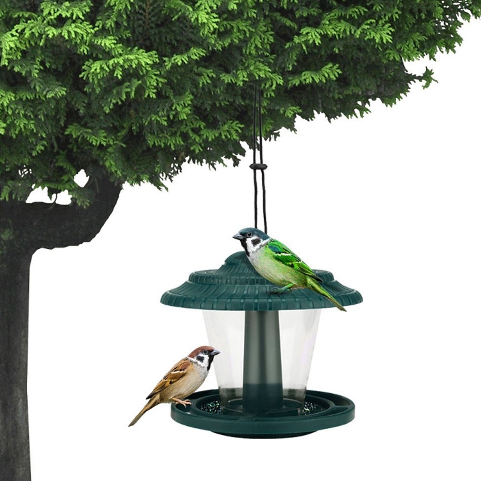 Bird Feeder Waterproof Transparent Hanging Feeding Device for Outdoor Garden Balcony image 9
