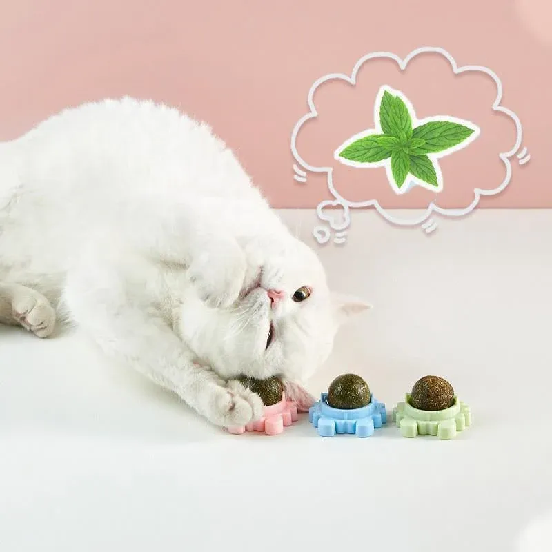 2PCS Rotatable Catnip Mint Ball Cat Treat Toys Licking Snack Cat Molar - Blue image 8