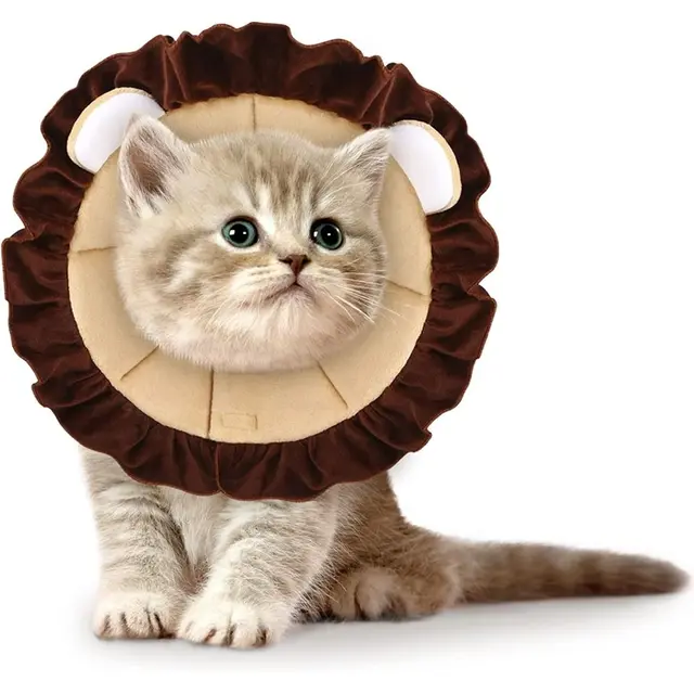 Pet Recovery Collar