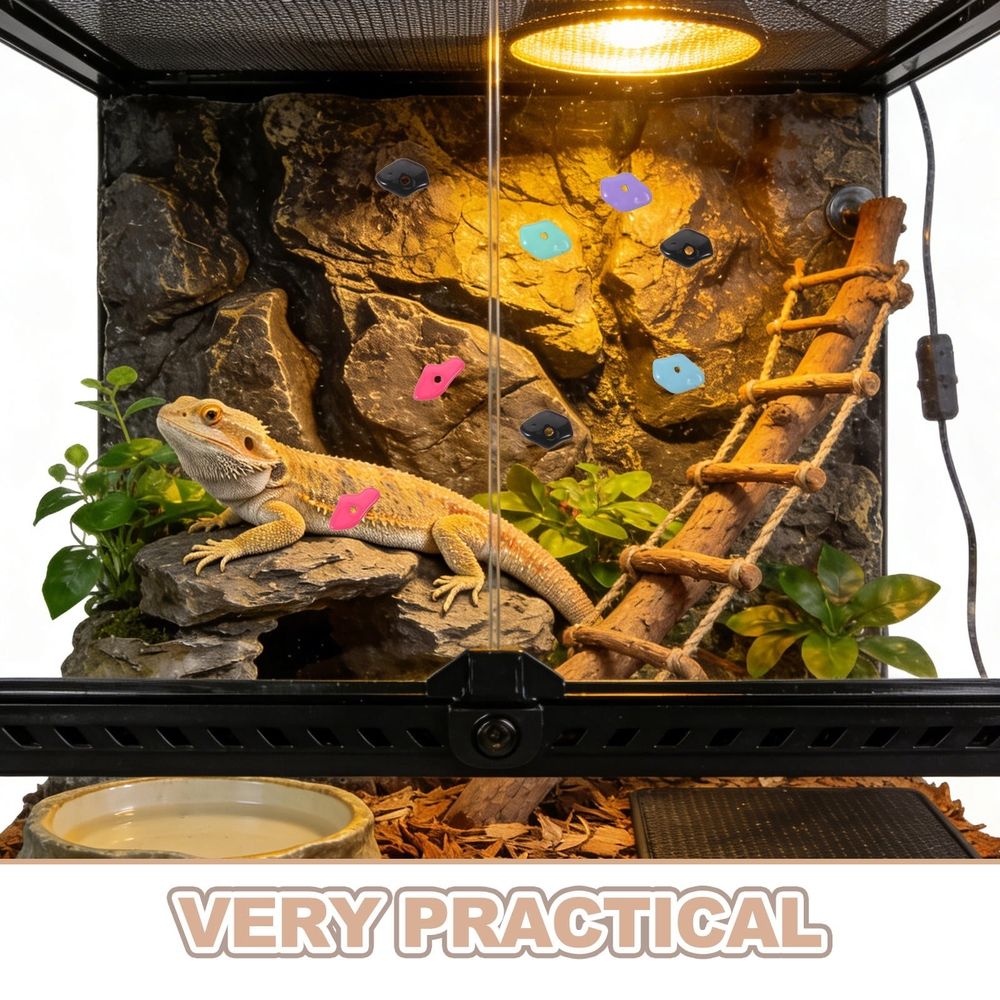 Bearded Dragon Climbing Rock Resin Assorted Color for Reptile Enclosure image 3