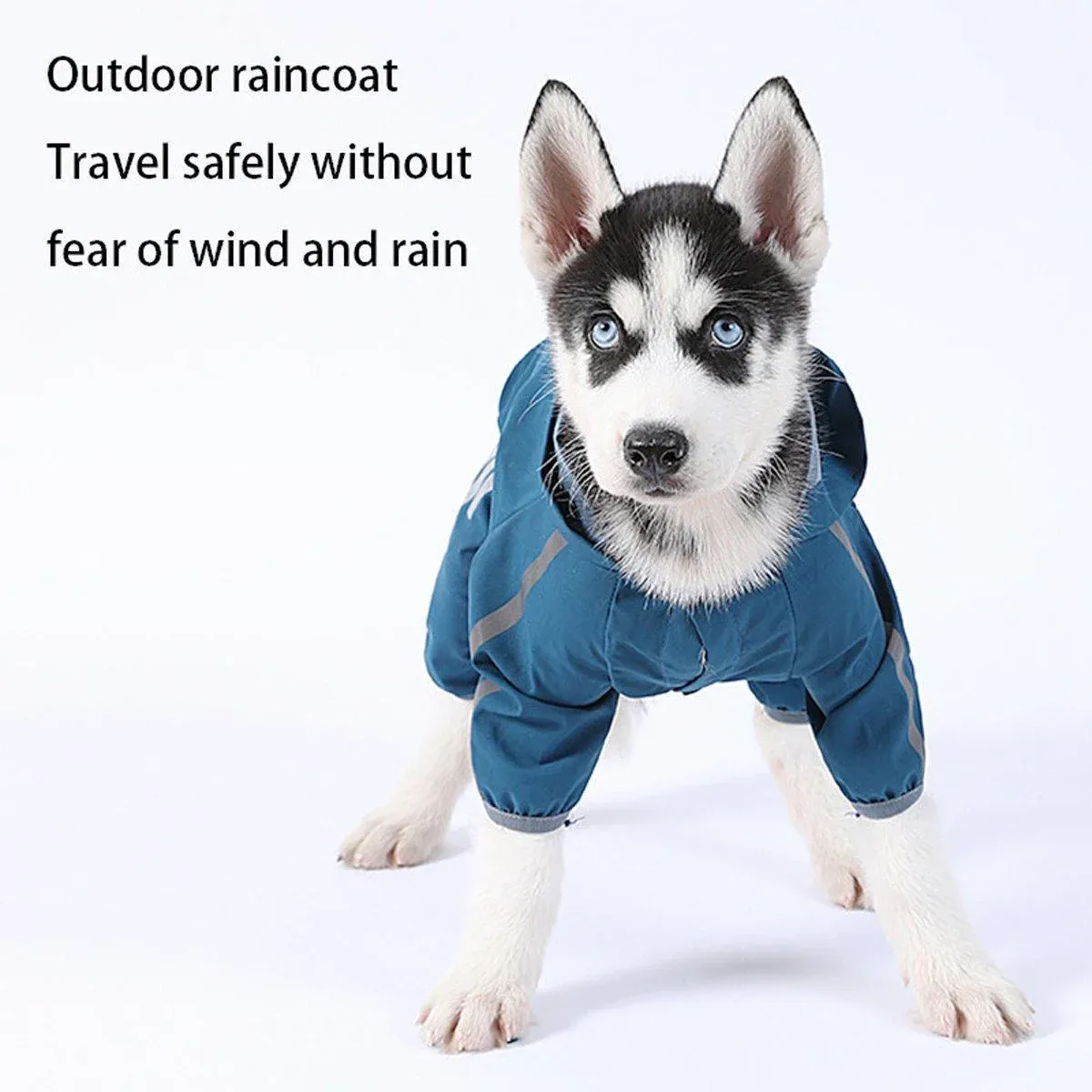 Waterproof Four Corner Pet Raincoats In Large Medium And Small Sizes Are Suitable…, S image 12