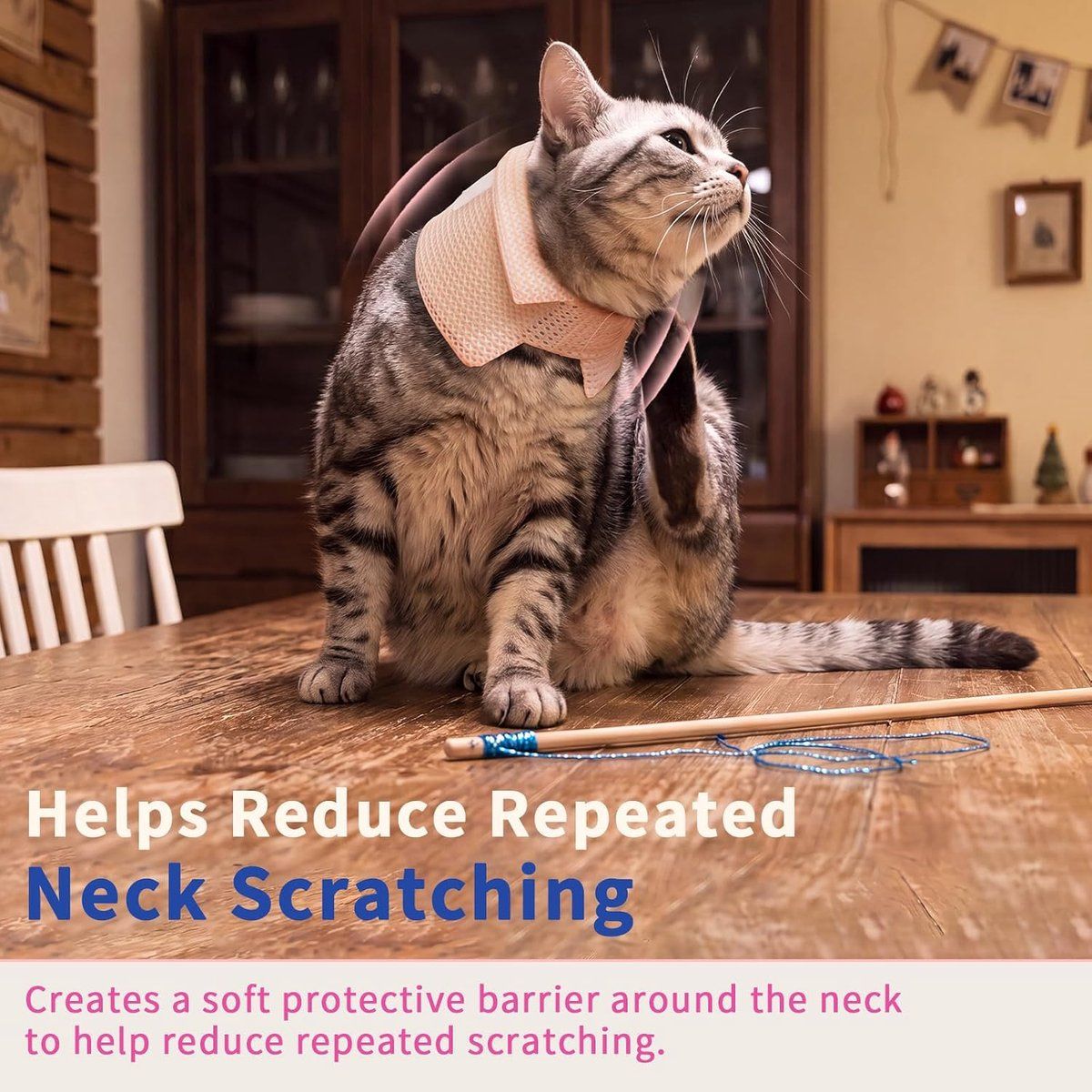 2 Pack Cat Recovery Collar, Blue, XS image 4