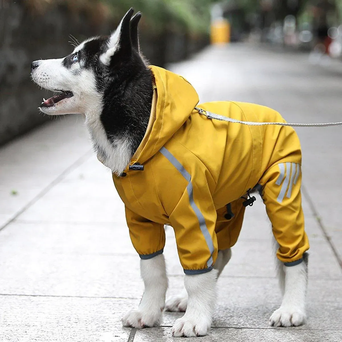Waterproof Four Corner Pet Raincoats In Large Medium And Small Sizes Are Suitable…, S image 11