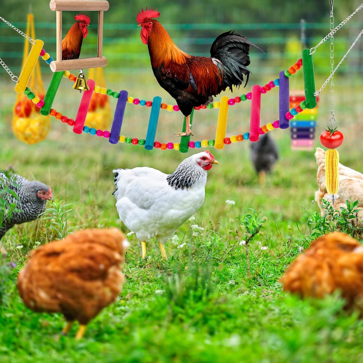 7PCS Chicken Coop Accessories Toys image 6