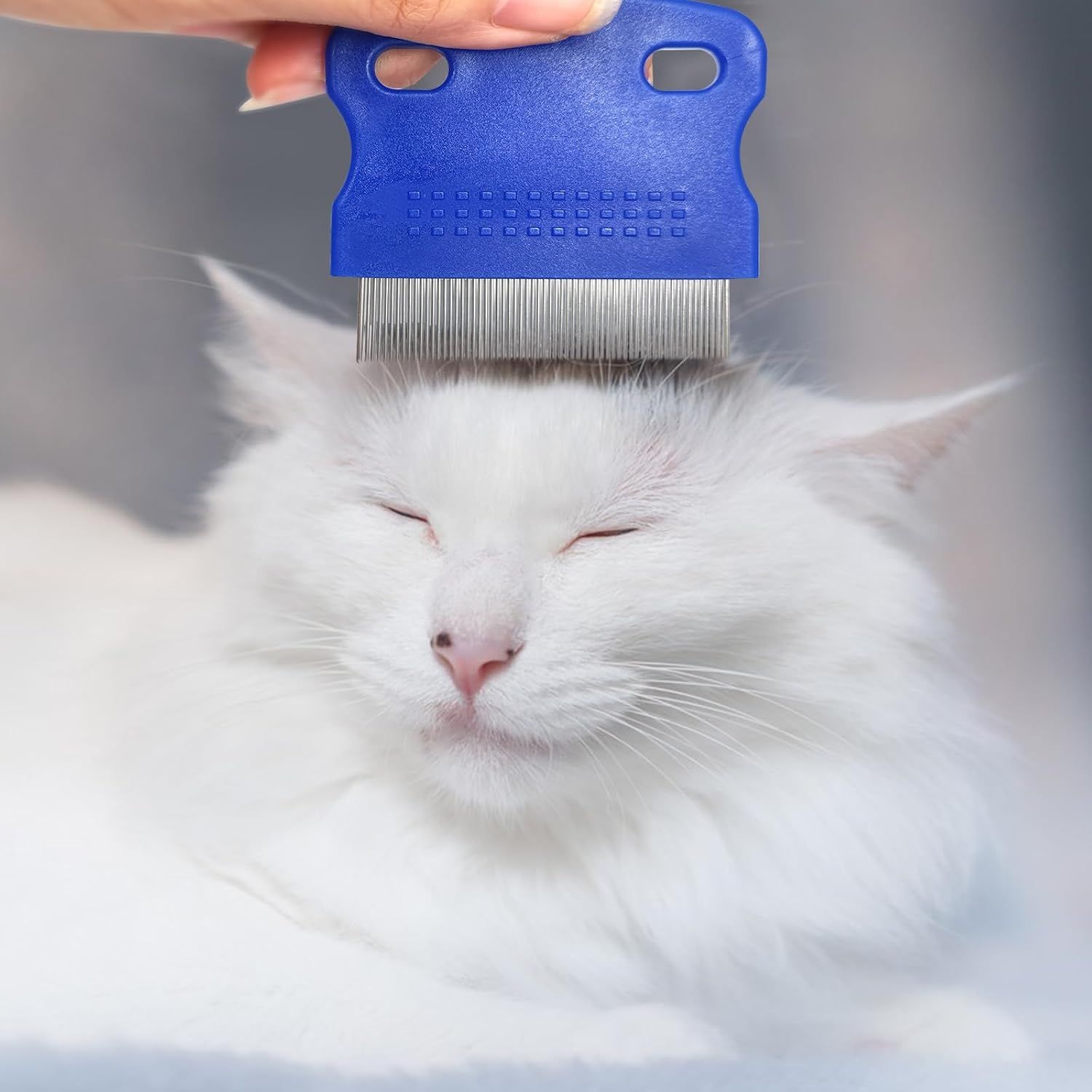 4 Pcs Flea Combs for Dogs and Cats, Blue image 3