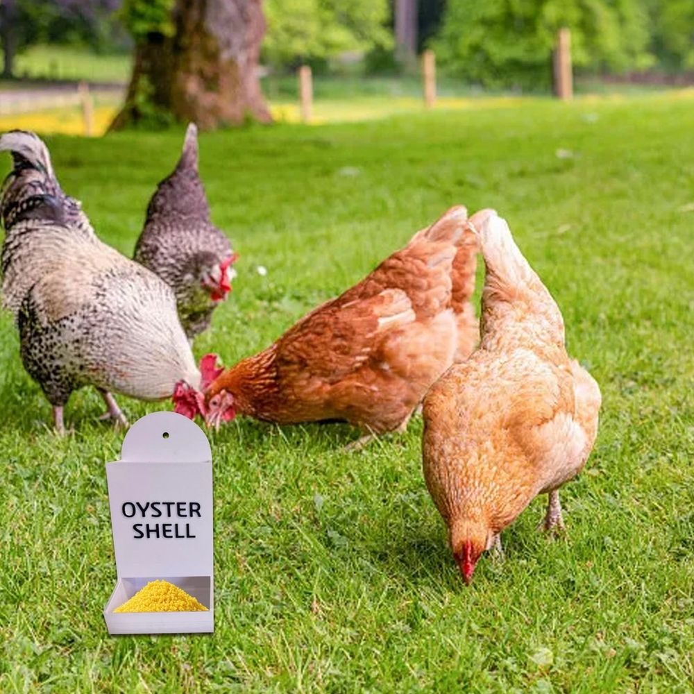 Automatic Shell & Grit Feeder - Metal Hanging Poultry Feeder Trough for Hens image 2