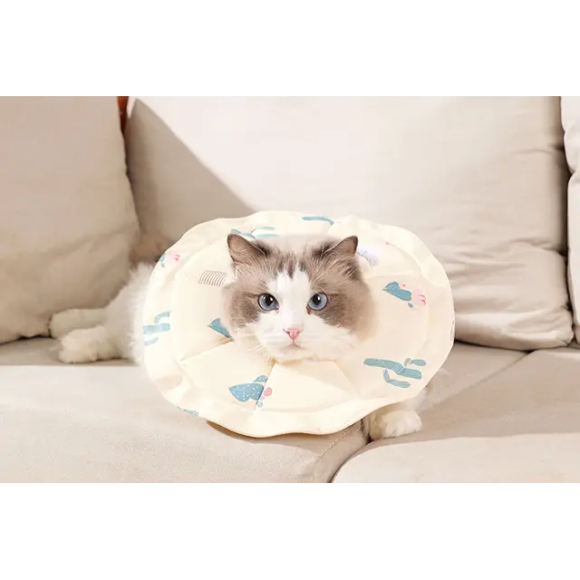 2 Pcs Size S Beige Comfortable Pet Recovery Collar