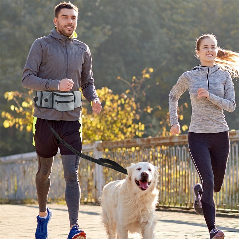 Adjustable Dogs Treat Pouch Training Pouch For Outdoor Walking With Bottle Holder… image 4
