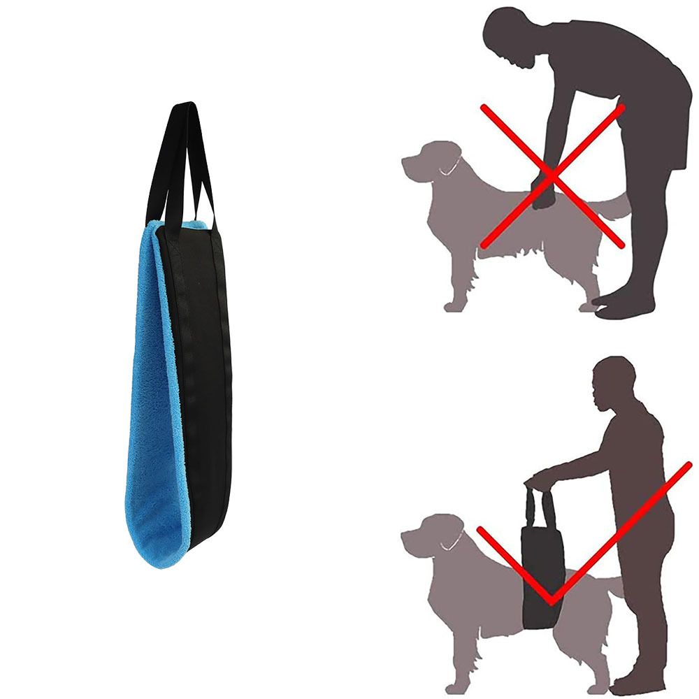 Dog Sling, Blue image 4