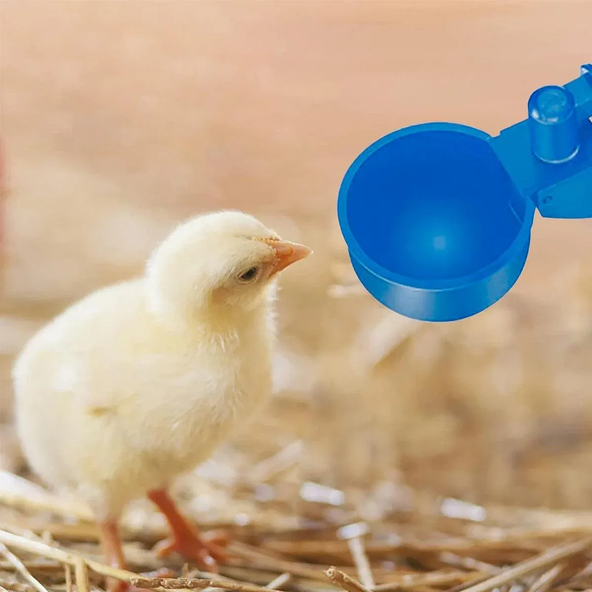 6pcs Chicken Drinking Bowl Poultry Waterer Feeder Automatic Drinking Cups Coop image 9