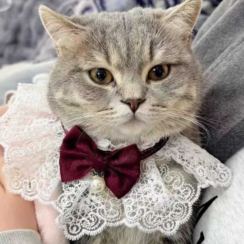 Cat Collar Lace Collar Cat Accessory Green Bow Pet Fashion High-Quality Pet - Burgundy… image 5