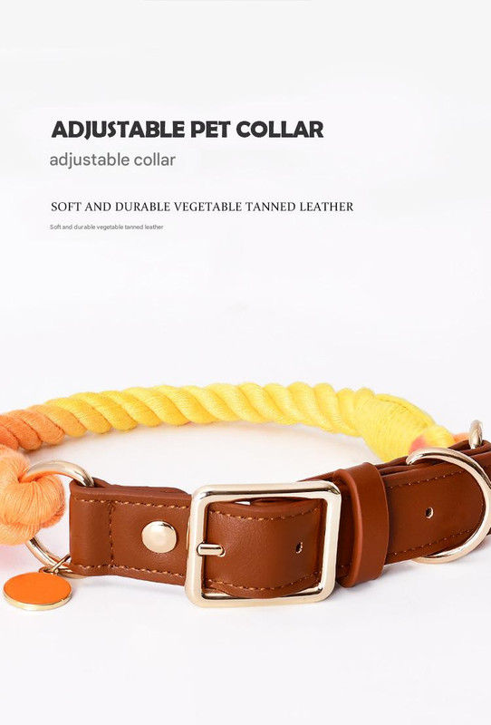 Premium Leather Pet Collar and Leash - Soft, Strong Braided Rope (Green - Size M) image 2