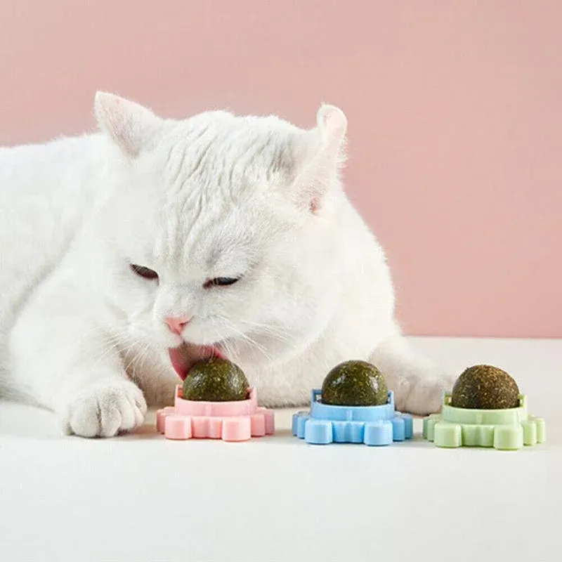 2PCS Rotatable Catnip Mint Ball Cat Treat Toys Licking Snack Cat Molar - Blue image 10