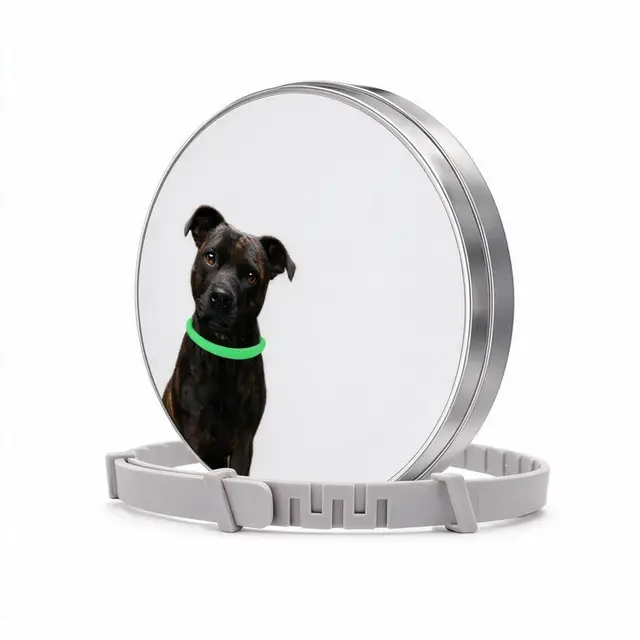 Glow in the Dark Dog Collar 62cm 8 Months Flea & Tick Repellent Luminous Tin Halloween…