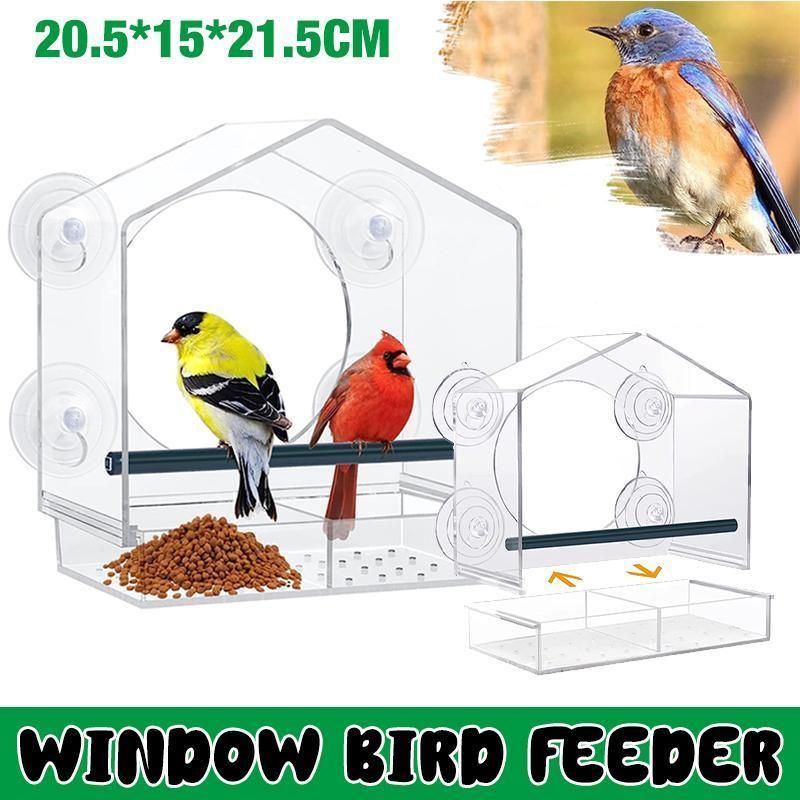 Clear Acrylic Window Bird Feeder with Strong Suction Cups and Removable Seed Tray image 12