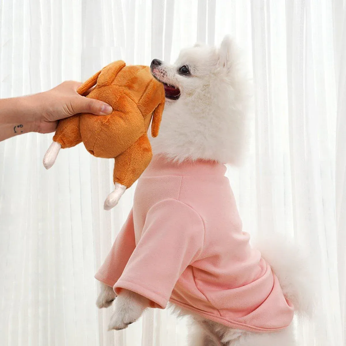 Plush Roast Chicken Dog Toy Squeaky Sound Stuffed Interactive Pet Plaything image 6