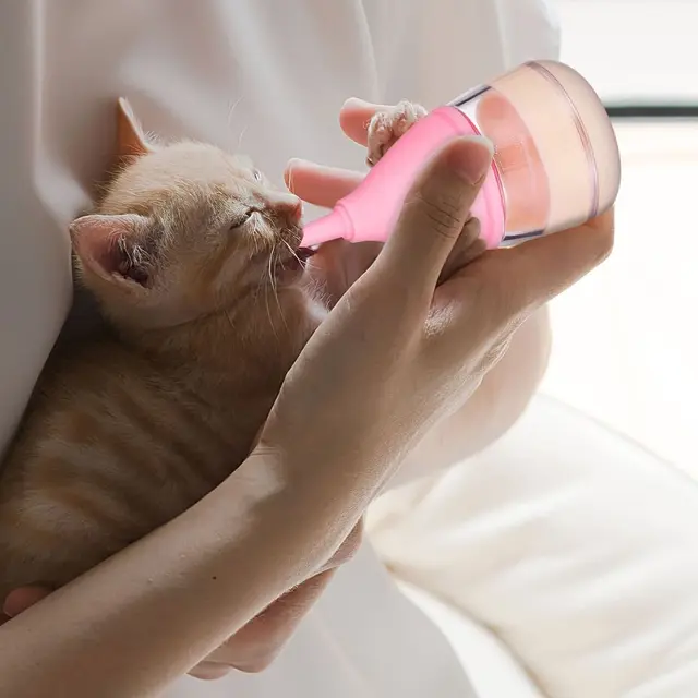 6-Piece Kitten and Puppy Bottle Feeding Set for and Small Pets