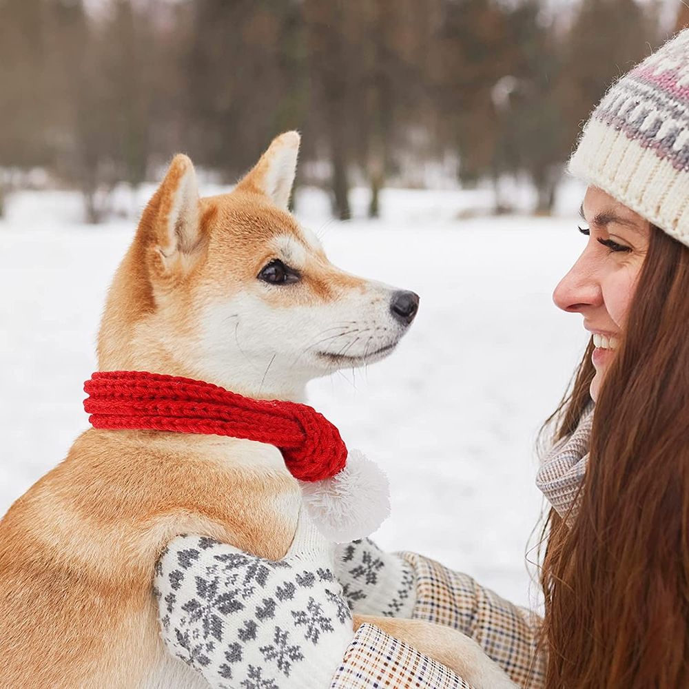 Christmas Dog Cat Santa Scarf, Red, Small image 4