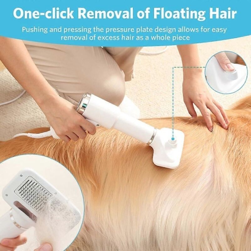 2-in-1 Pet Hair Dryer with Straightening Brush Adjustable Temperature for Small Animals image 3