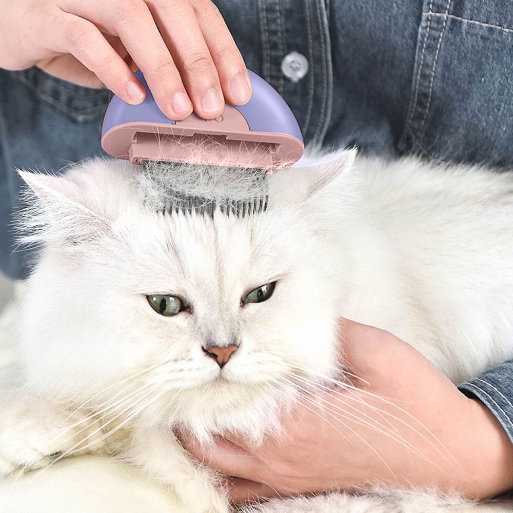 Cat Comb Set Portable 2 In 1 Cat Hair Removal Comb Pet Grooming & Shedding Brush Pet… image 2
