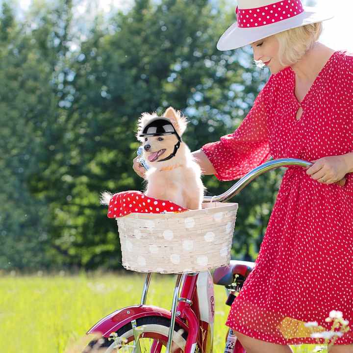 Size L Black Pet Safety Helmet - Stylish Protective Headgear for Dogs image 6