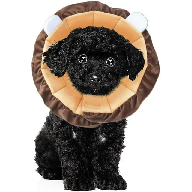 Recovery Collar Pet Cat Cone Cute Lion Cone for Cats Comfortable Dog Neck Cone…