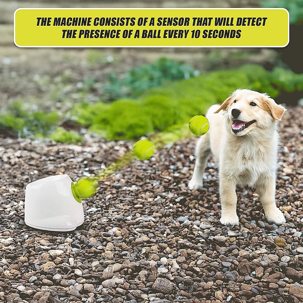 Dog Ball Launcher Thrower Automatic Tennis Fetch Throwing Machine 3 Balls image 11